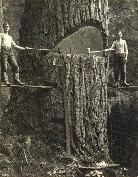 Lumberjacks of the Pacific Northwest, USA, circa 1915.