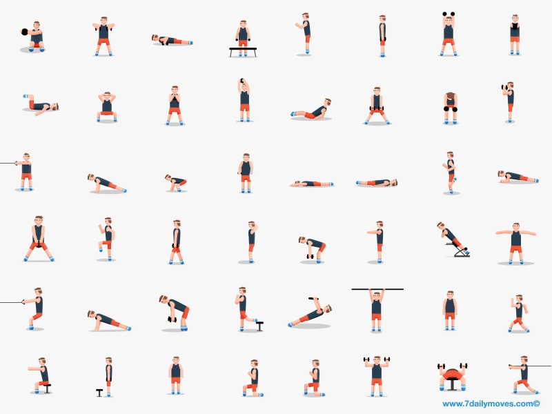 The many exercises you may or may not want to try.