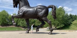 Hey look a giant anatomically correct stallion!