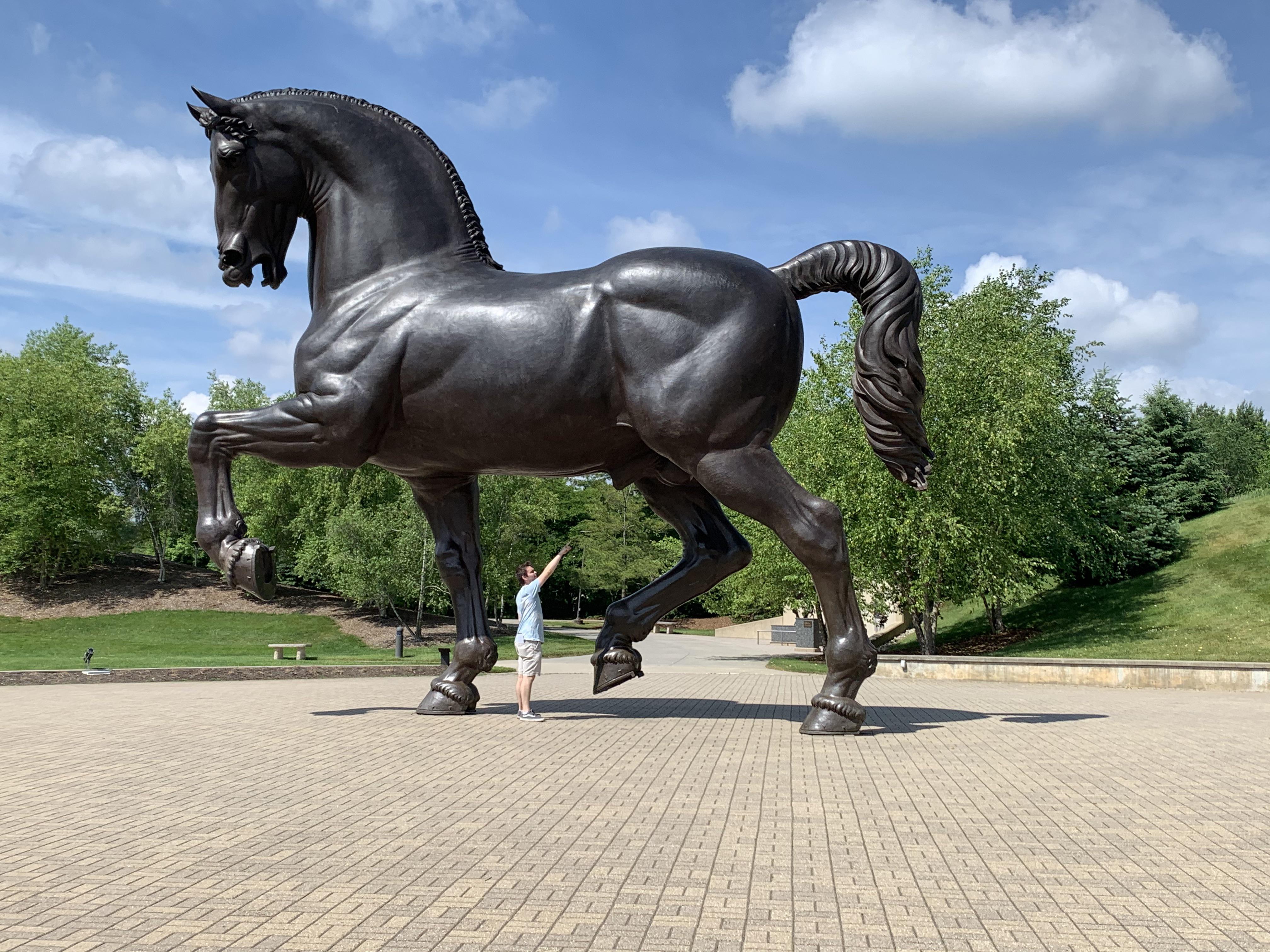 Hey look a giant anatomically correct stallion!