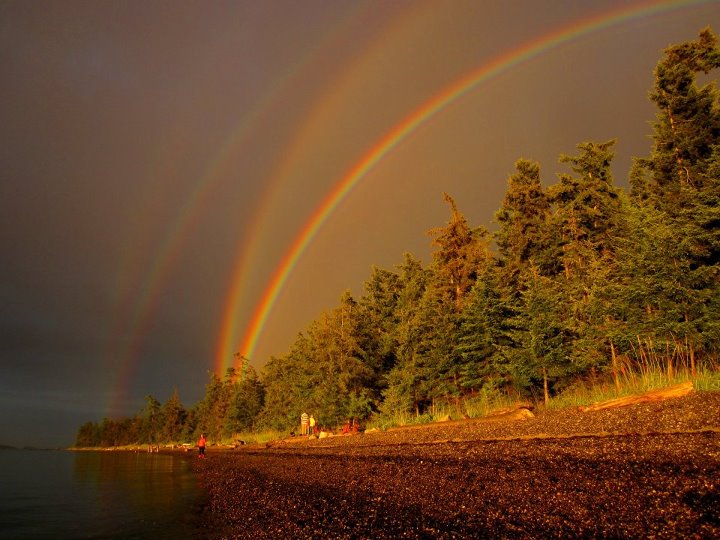 There is no understanding the quadrupal rainbow