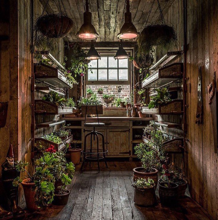 The greenhouse cabin