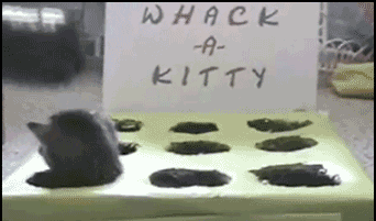Whack-a-kitty!