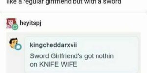 who wins in a fight, sword girlfriend or knife wife?