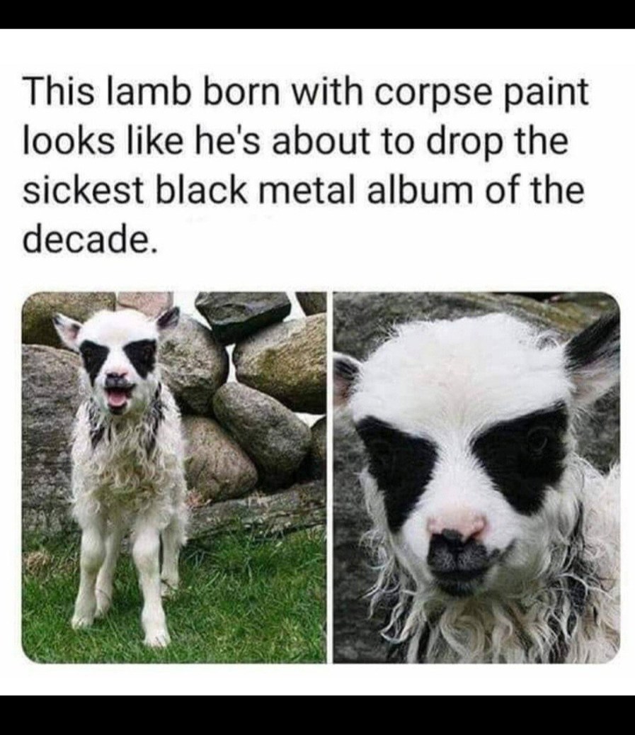 corpse paint goes hard in the pit
