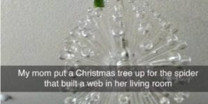 even spiders need holiday cheer