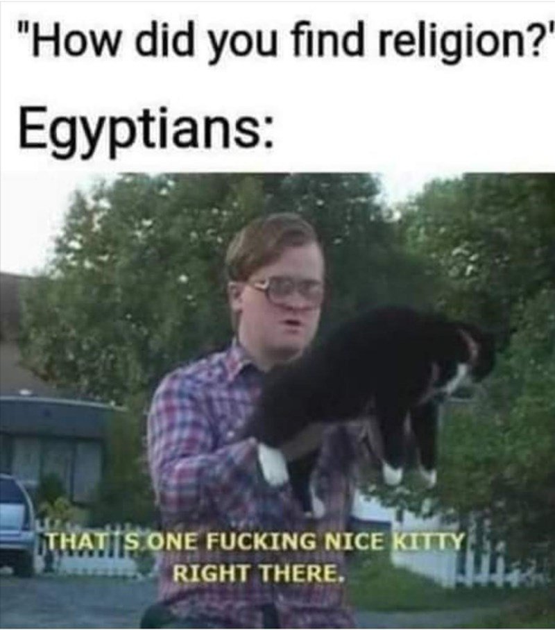 this kitty is now our god