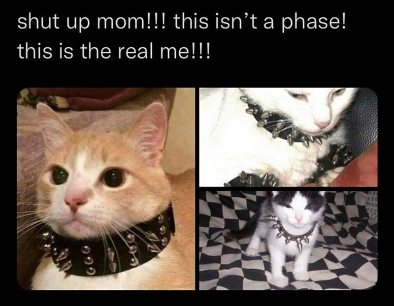 it's not just a phase, mom