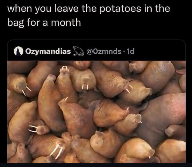 potatoes with tusks