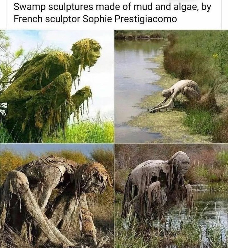 swamp things