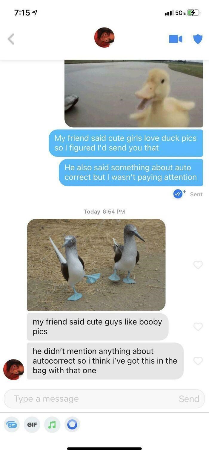 ducks and boobys for everyone