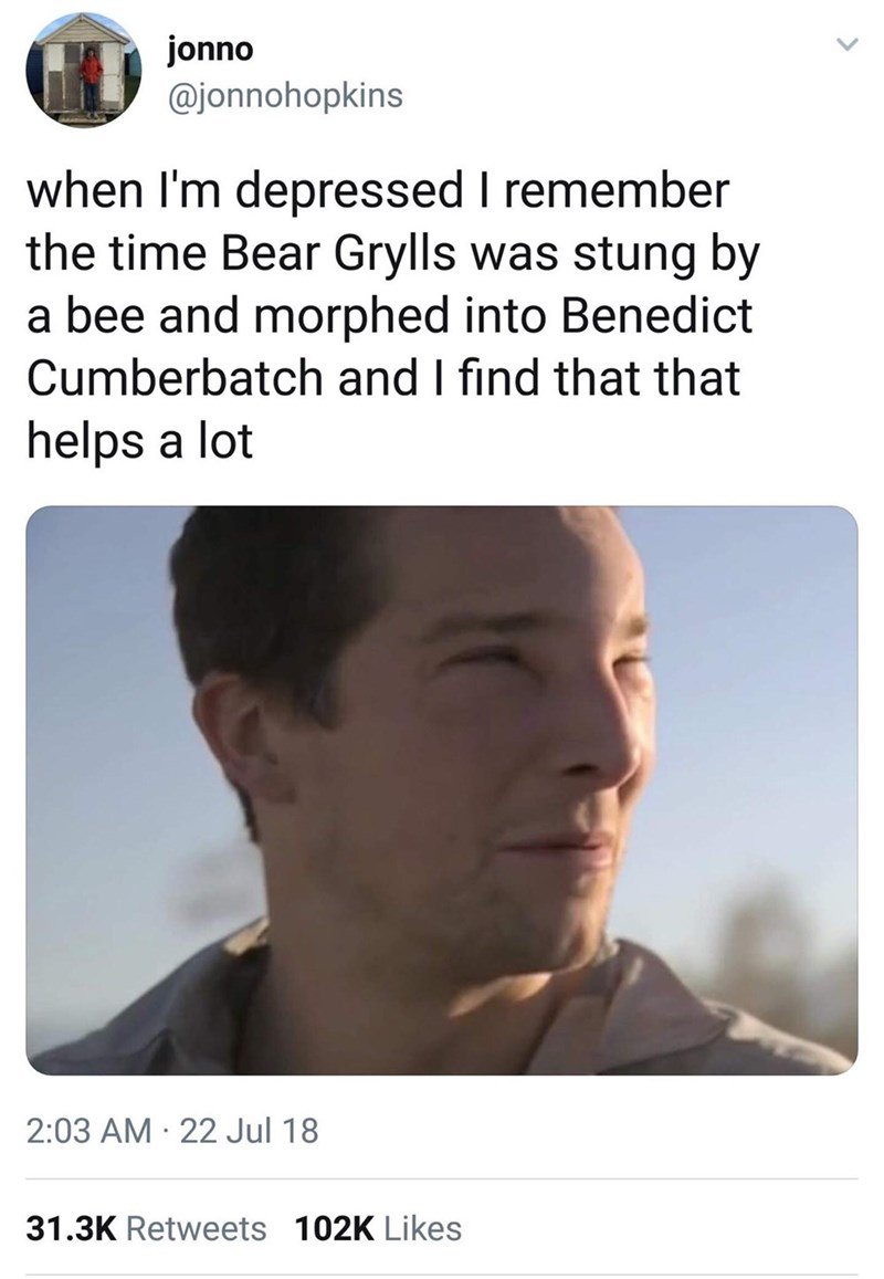 Bee grylls