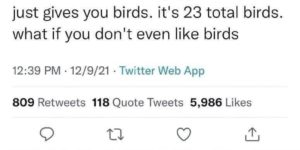 so many birds