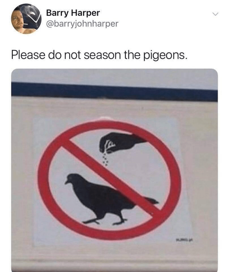 do not salt the pigeons