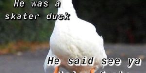 sk8er duck