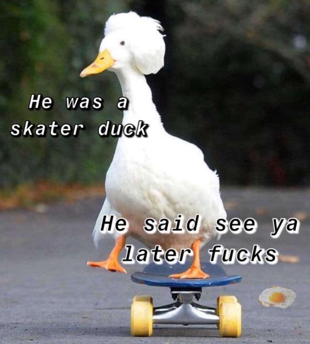 sk8er duck