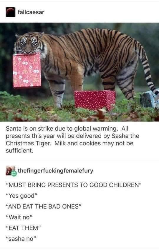 she's making a list and licking her lips twice