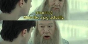 you’re a pig, harry