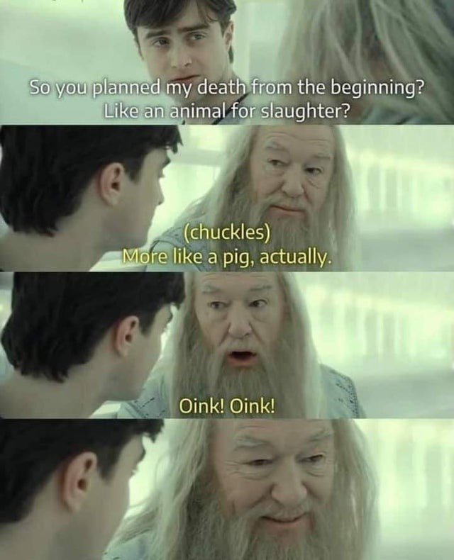 you're a pig, harry
