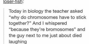 bromosomes