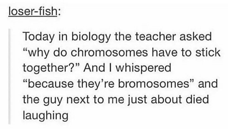 bromosomes