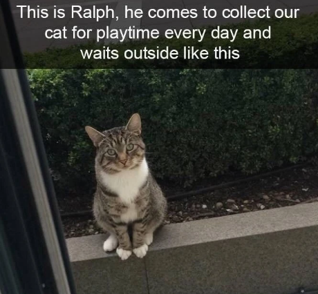 ralph has excellent manners
