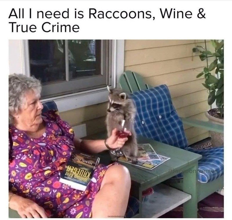 raccoons, wine, and true crime