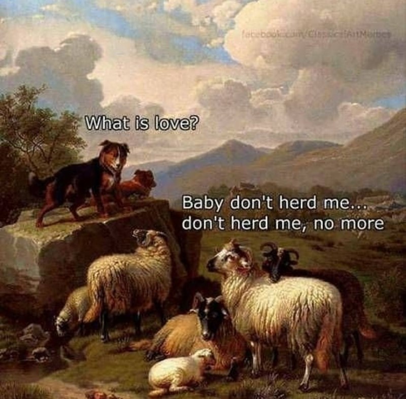 don't herd me