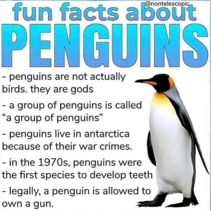 legally, penguins can own firearms
