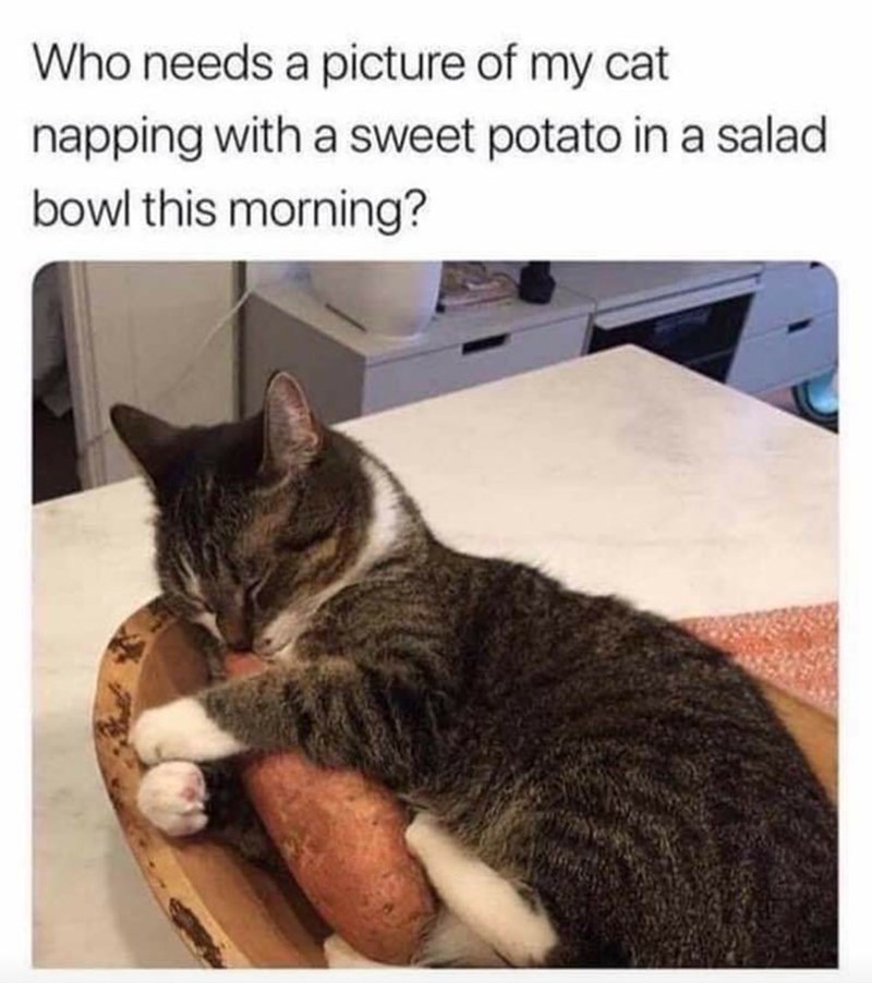 potato with potato