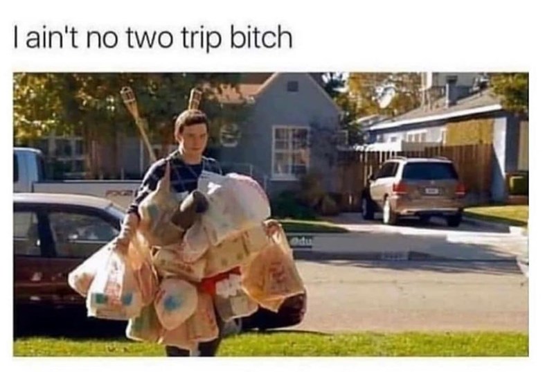one trip or the rest of the groceries stay in the car