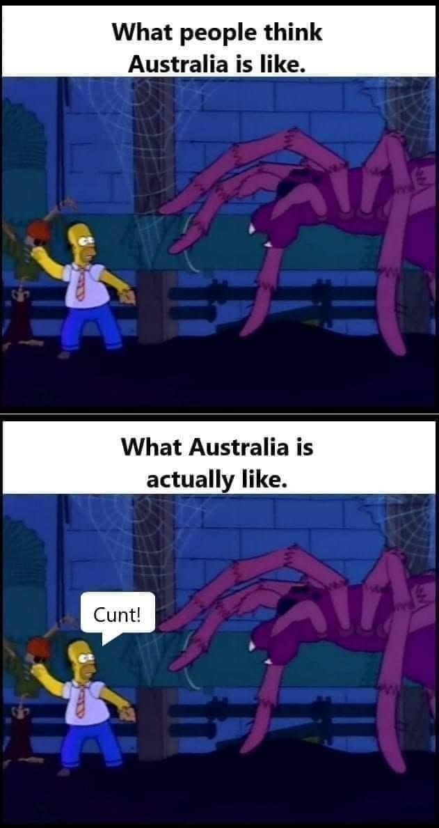 another typical day in australia