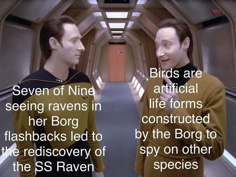 birds aren't real