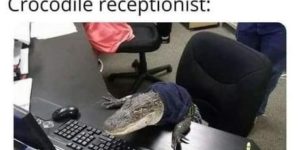in a while, crocodile
