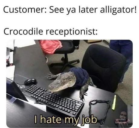 in a while, crocodile