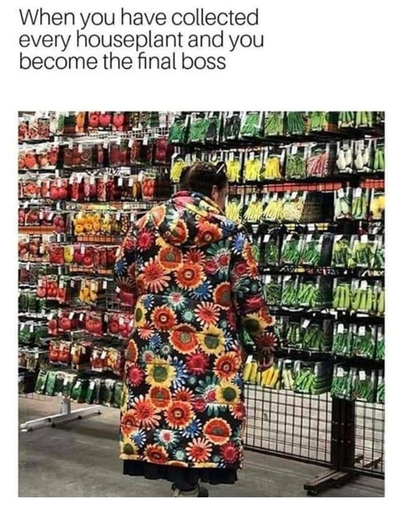 plant boss