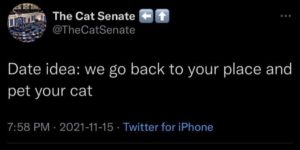 which cat?