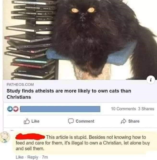 atheists prefer cats