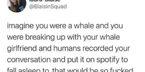 whale breakup songs