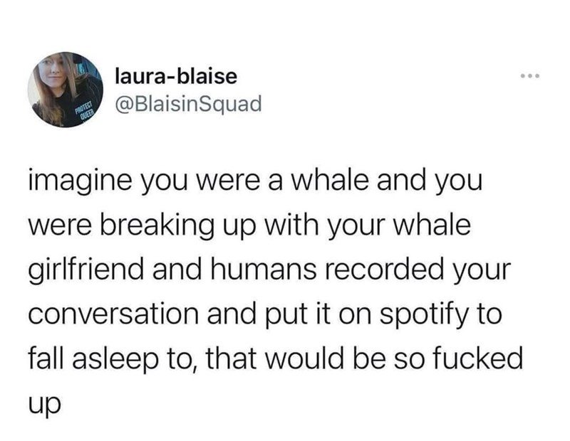 whale breakup songs