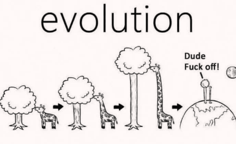 there's no stopping evolution