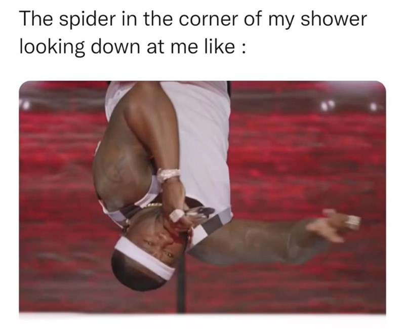 my spider shower