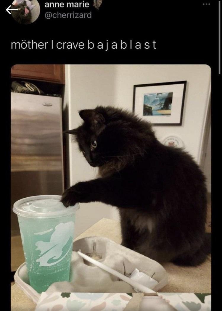 we all crave baja blast