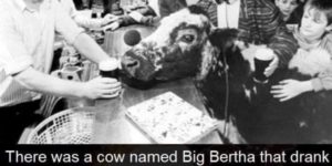 the legend of big bertha
