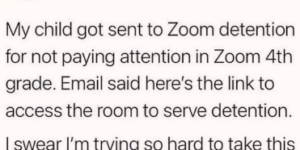 zoom detention