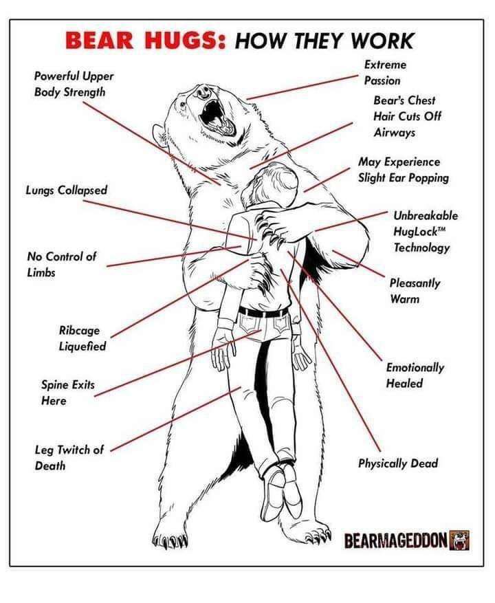 anatomy of a bear hug