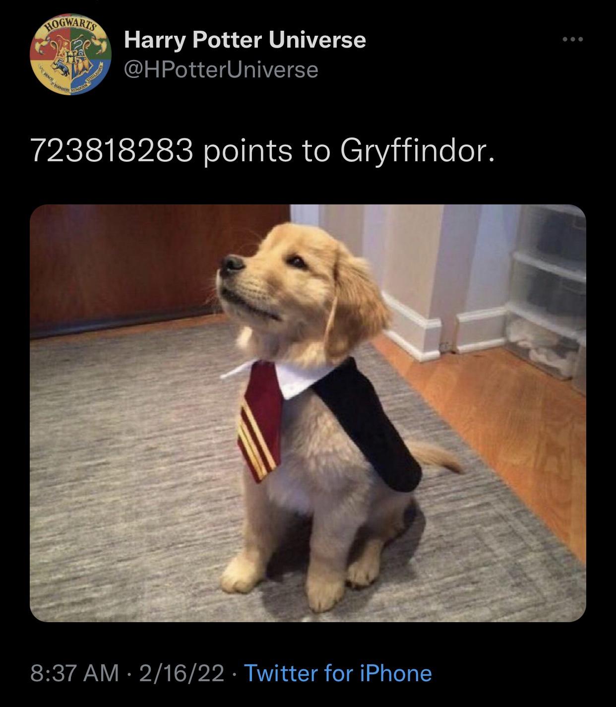 infinity points to gryffindor
