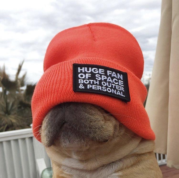 need this beanie