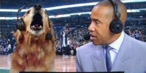 How did I miss this air bud movie?