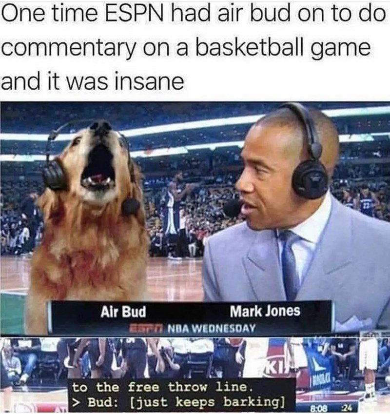 How did I miss this air bud movie?